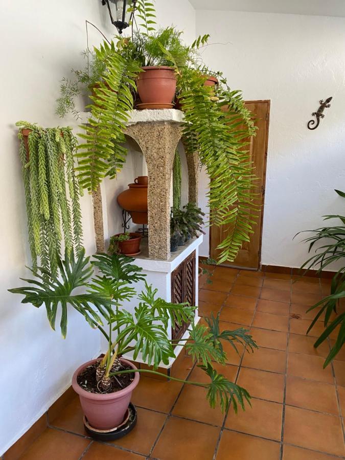 Villa Casa En Mogan Las Burrillas Exterior foto